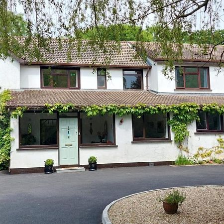 Riverfield Bed And Breakfast Gorey Εξωτερικό φωτογραφία