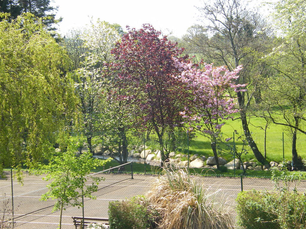 Riverfield Bed And Breakfast Gorey Εξωτερικό φωτογραφία