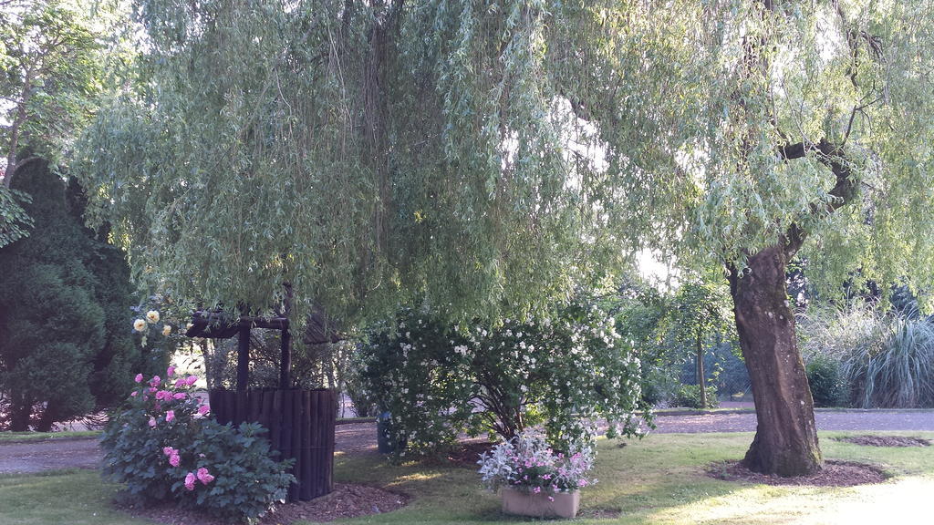 Riverfield Bed And Breakfast Gorey Εξωτερικό φωτογραφία