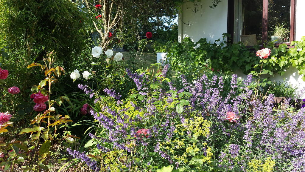 Riverfield Bed And Breakfast Gorey Εξωτερικό φωτογραφία